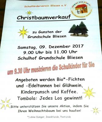 Weihnachtsbaumverkauf des Fördervereins (Bild vergrößern)