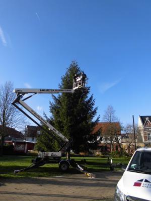 Aufstellung des Weihnachtsbaumes in Genthin