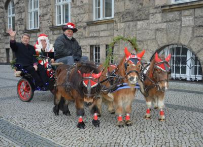 Der Weihnachtsmann persönlich holte den Bürgermeister am 6. Dezember vom Rathaus in einer Kutsche, gezogen von drei Ponys, ab, um mit ihm zur Eröffnung des Weihnachtsmarktes zu fahren. I Foto: Christiane Schomaker