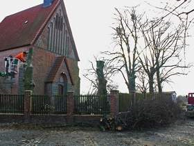 Kirchenlinden zu Kleinholz geschreddert (Bild vergrößern)
