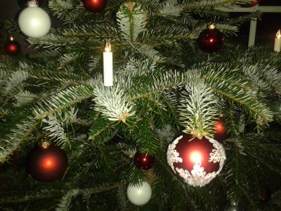 Meldung: Frohe Weihnachten