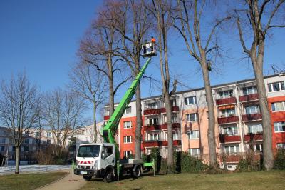 Mitarbeiter der Fachgruppe Kommunalservice und Baumexperte Thomas Schmidt testen die neue Hebebühne