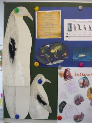 Foto zur Meldung: Klasse 4c: Wie groß ist ein Pinguin?