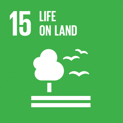 Sustainable Development Goal 15: Land-Ökosysteme schützen
