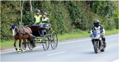 Foto zur Meldung: Autofahrer trifft Pferdekutsche - Deutsche Reiterliche Vereinigung setzt auf Unfallprophylaxe
