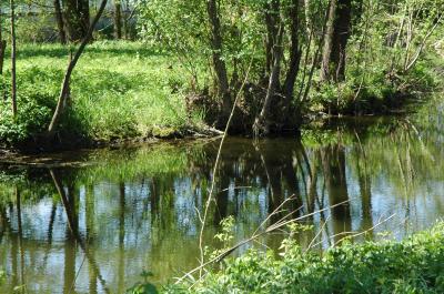 15 - 16.06.18 GEO-Tag der Natur (Bild vergrößern)