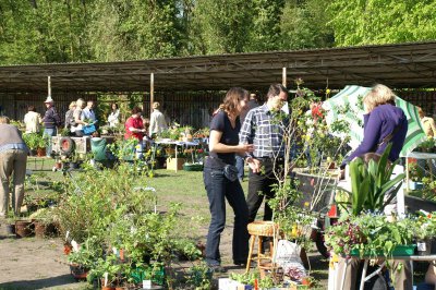 Am Samstag, 5. Mai 2018 ist es wieder soweit: Die beliebte Pflanzenbörse findet von 9:30 bis 12 Uhr auf der Festwiese im Gutspark statt.