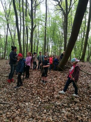 Foto zur Meldung: Zu Fuß in der Natur – Wandertag der Klasse 1d