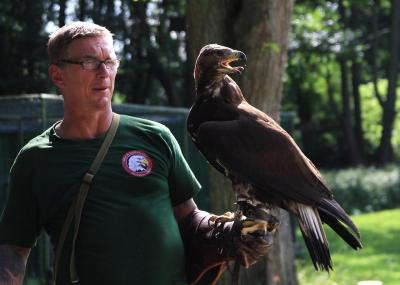 Foto zur Meldung: Spreewaldpodcast macht Adler- und Jadgfalkenhof Calau „hörbar“