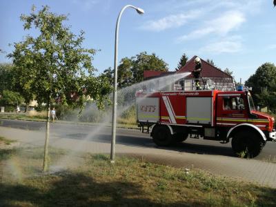 Die starke Trockenheit hält die Falkenseer Feuerwehr in Atem. Dabei unterstützen die Kameraden auch bei der Bewässerung von Grünflächen und Bäumen im Stadtgebiet.
