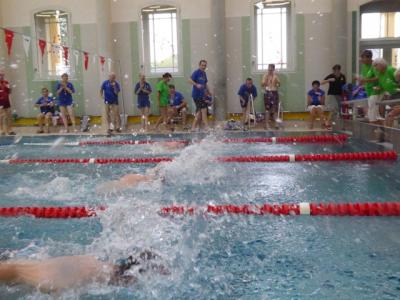 Foto zur Meldung: Schwimmwettkampf