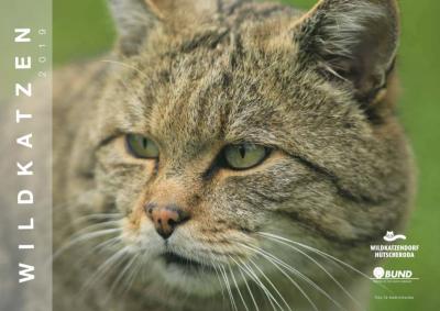 Wildkatzenkalender 2019 lockt mit faszinierenden Aufnahmen (Bild vergrößern)