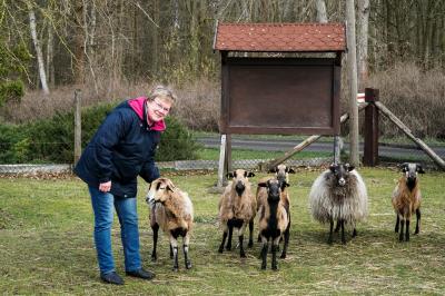 Marion Schumacher mit den Schafen auf dem Streicheltierhof. Foto: Andreas König/Stadt Pritzwalk