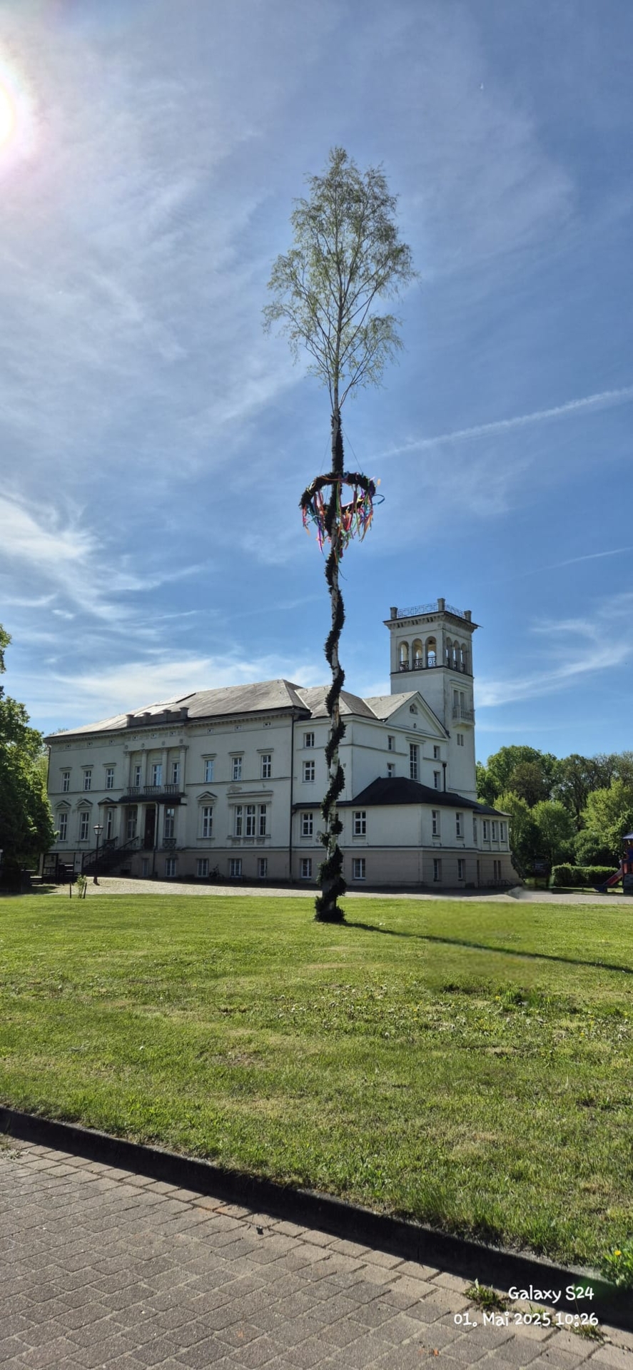 Maibaum 2025