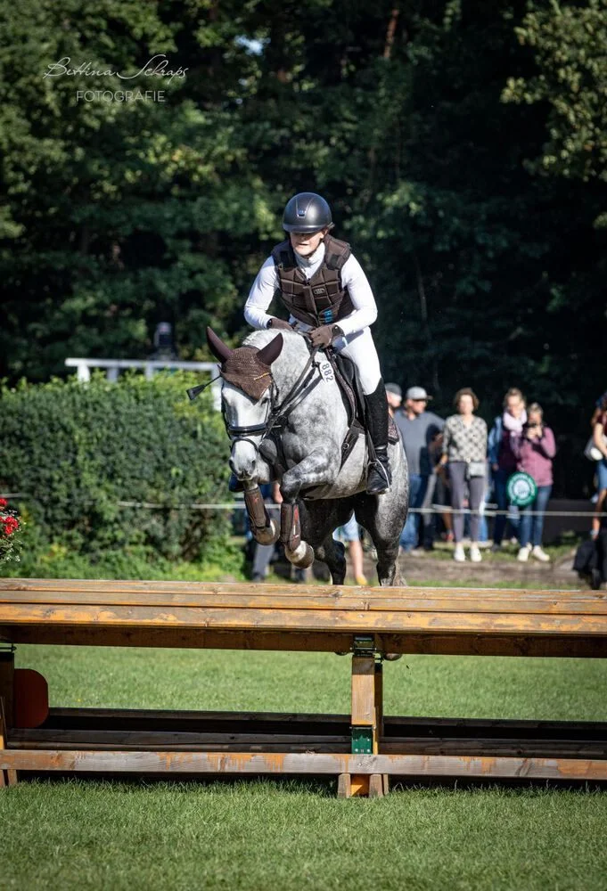 1024-1504_Pony_von_Schraps