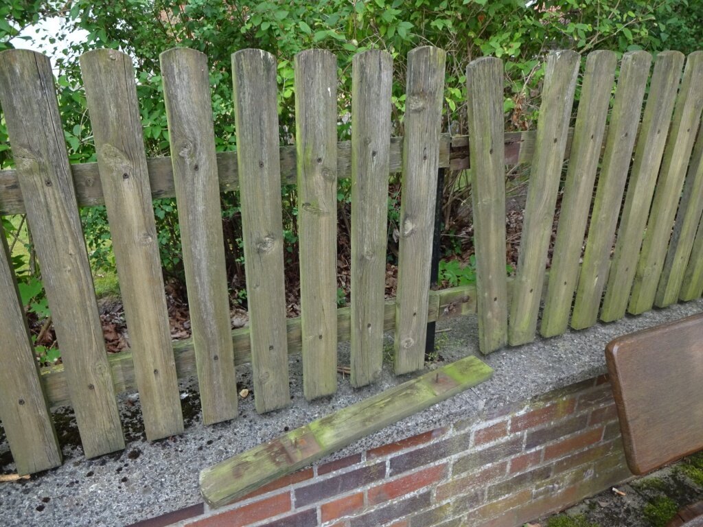 Zaundefekt_3