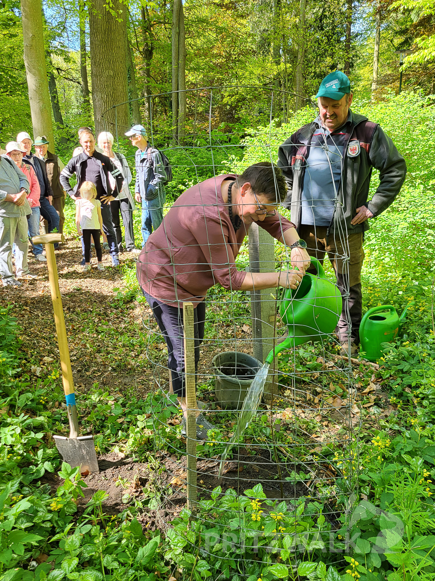 Baumpatin Kathrin Brandt gießt die frisch gepflanzte Roteiche im Park der Jahresbäume an. Foto: Stadt Pritzwalk