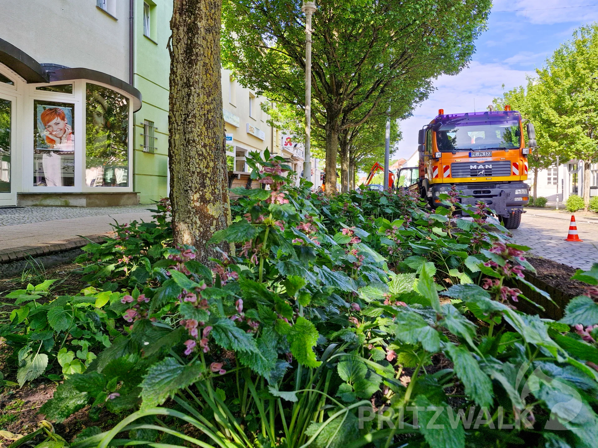 Die Beete werden komplett geleert und neu angelegt. Foto: Stadt Pritzwalk