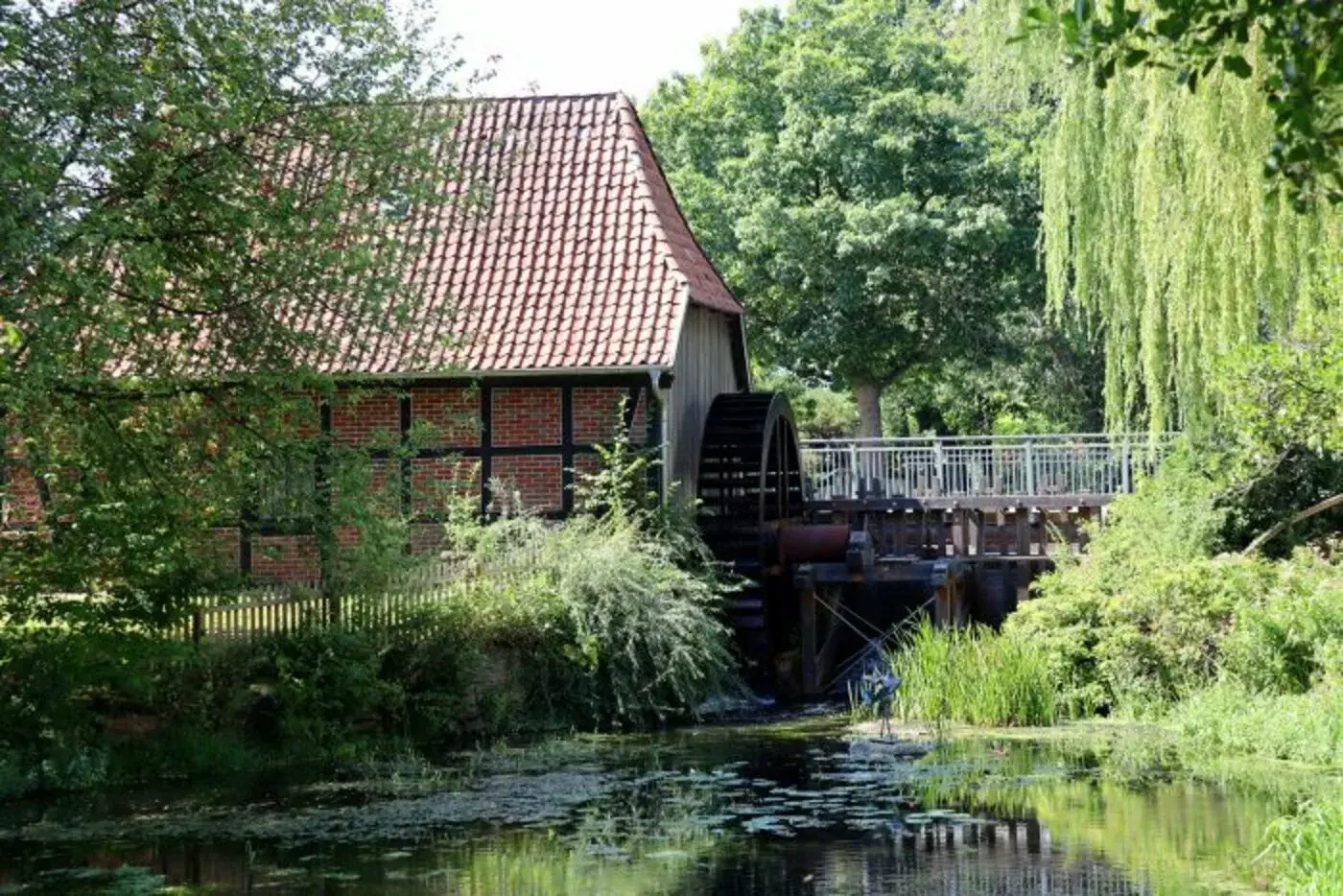 csm_Mu__hlenkolk_Beitrag-700x467_5a669e4436
