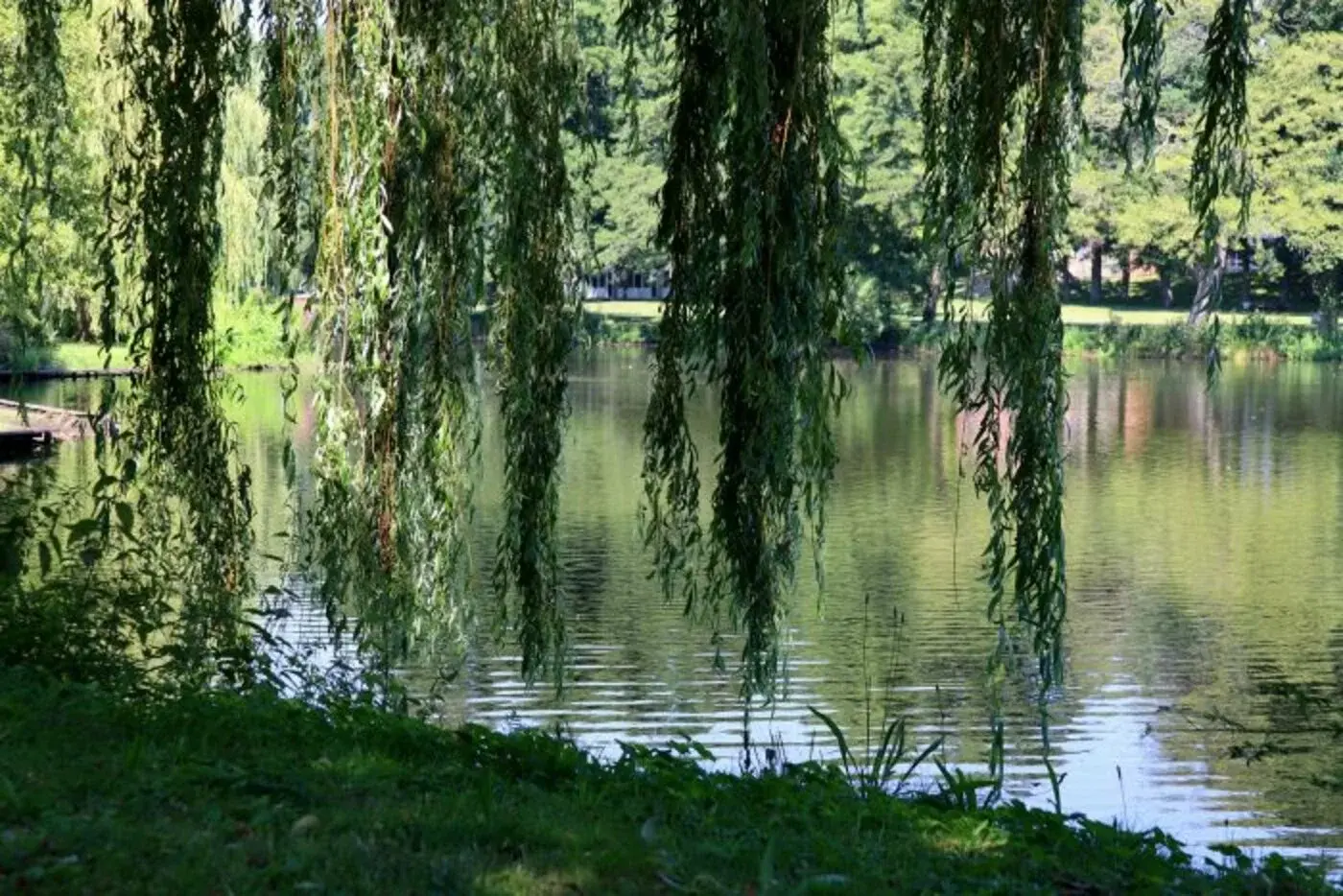 csm_Mu__hlenteich_Beitrag-700x467_0233926e71