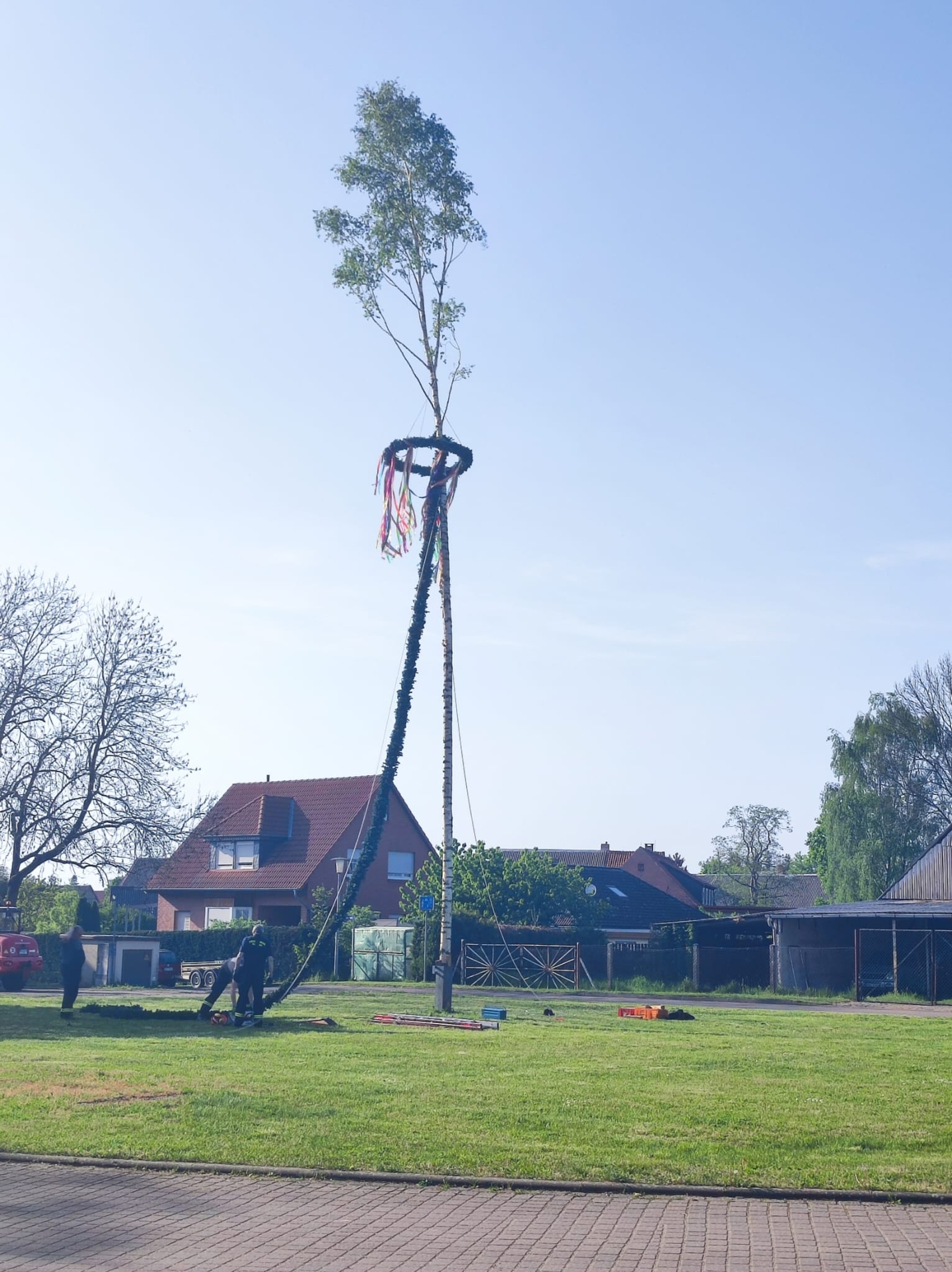 Maibaum