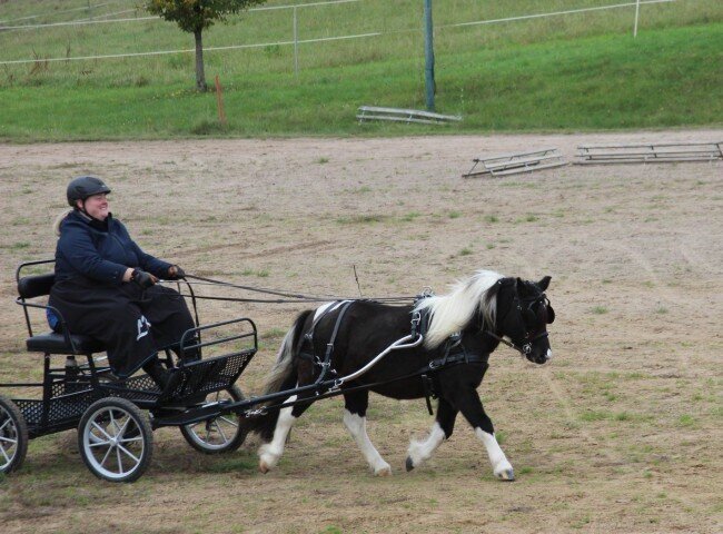 650x480-crop-90-likedeelers_merrie_jane_gefahren_lena_kaiser