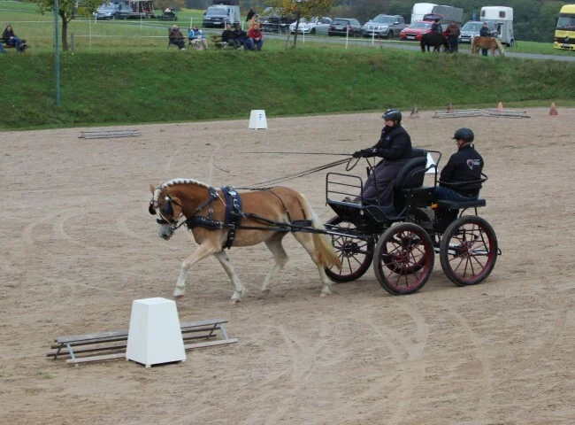 650x480-crop-90-stella_m_gefahren_von_jessica_waechter
