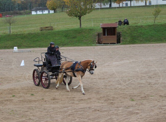 650x480-crop-90-stella_m_mit_jessica_waeaechter_in_der_fahrpruefung