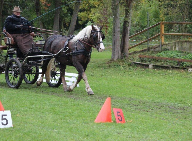650x480-crop-90-wayana_vom_schellenberg_gefahren_von_peter_tischer