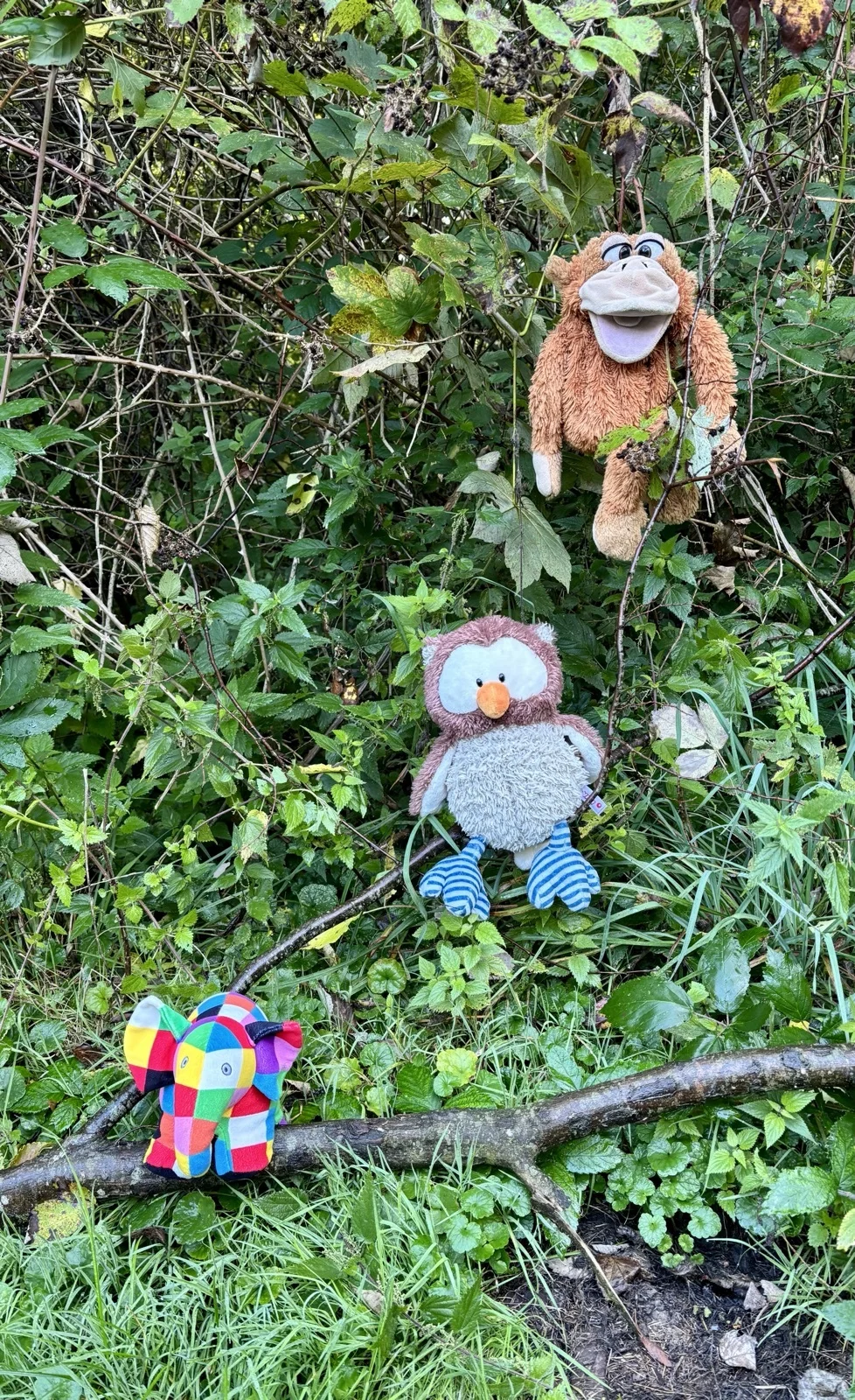 Impression Wandertag 01