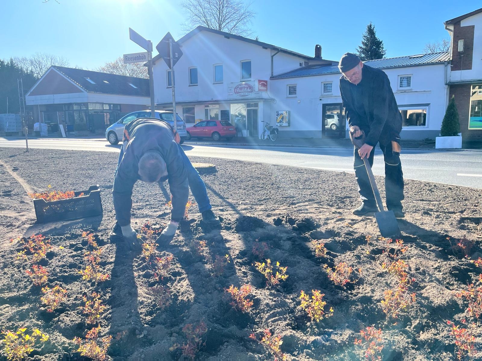 Helfer beim Pflanzen
