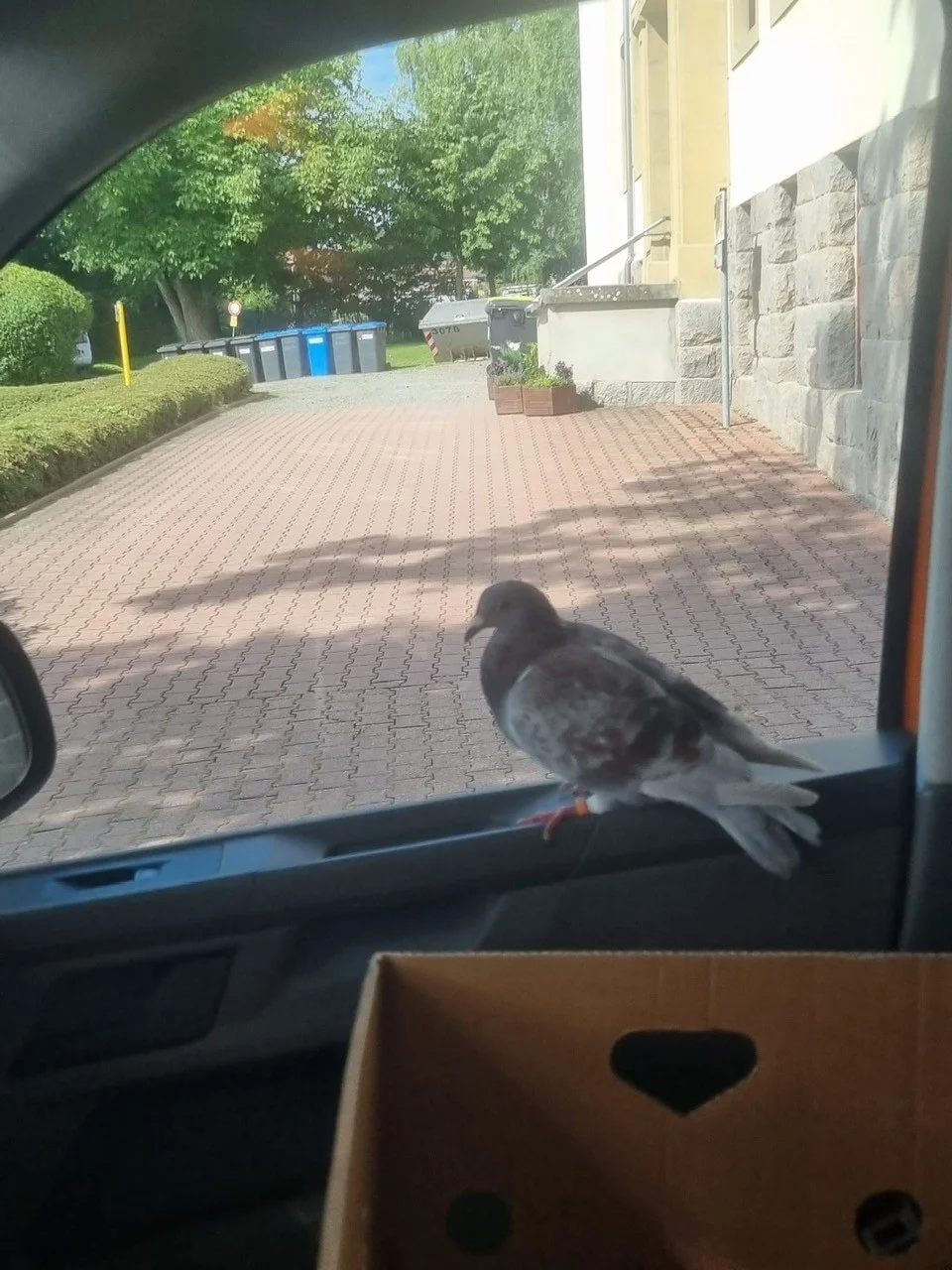 Kita Rasselbande_Vogelrettung2