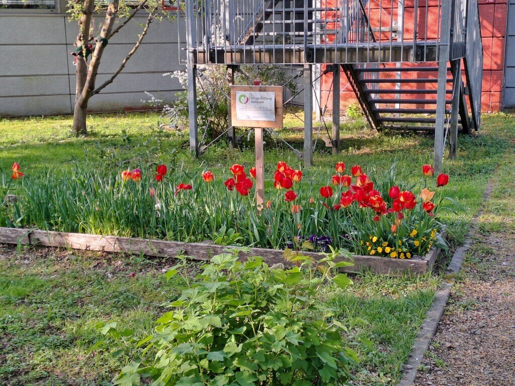 SiWi, buntes Tulpenbeet,