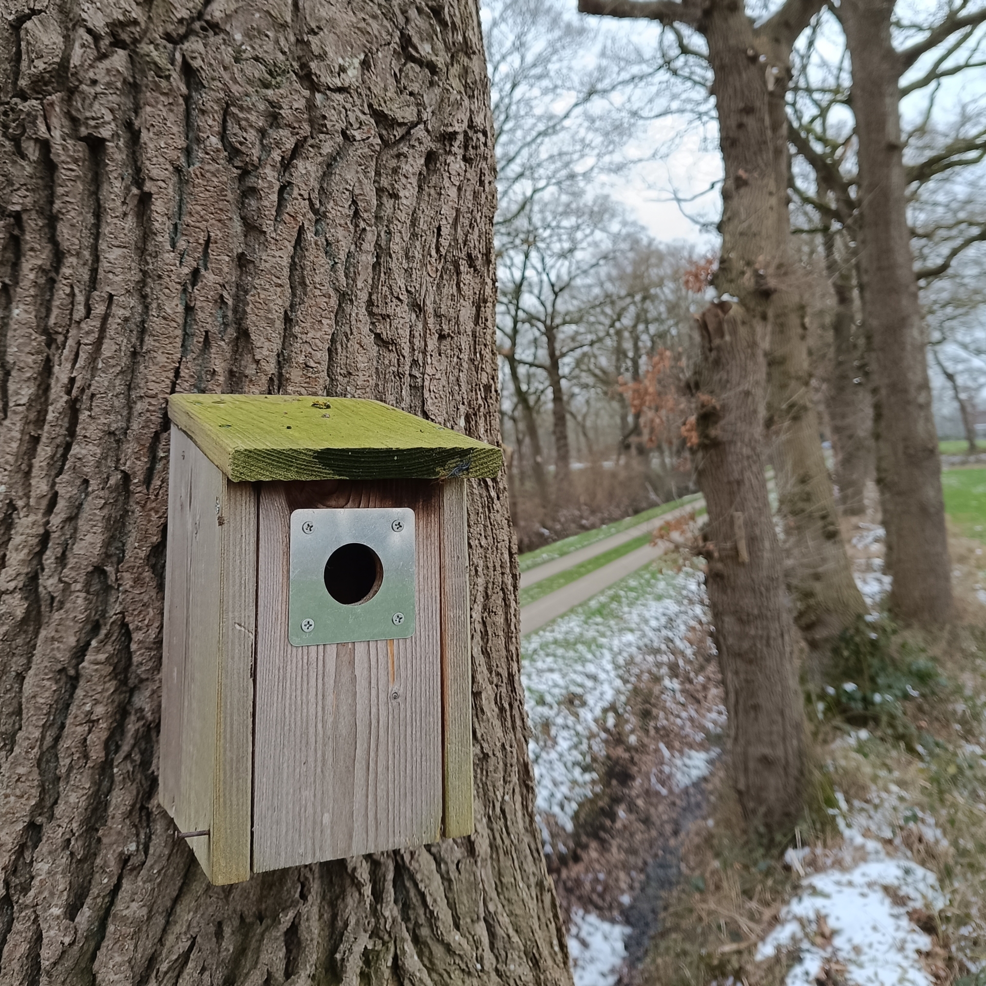 Montierte Spechtschutzplatte