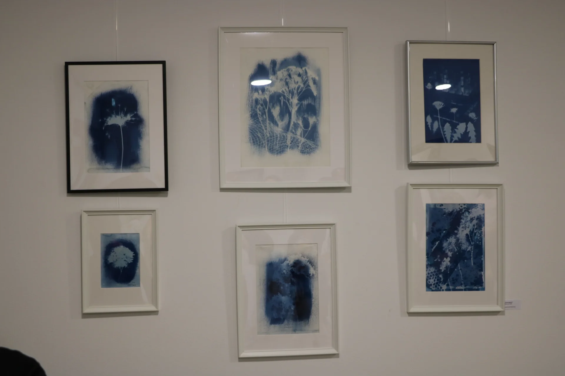 Ausstellung_Querbeet_14072026 (43)