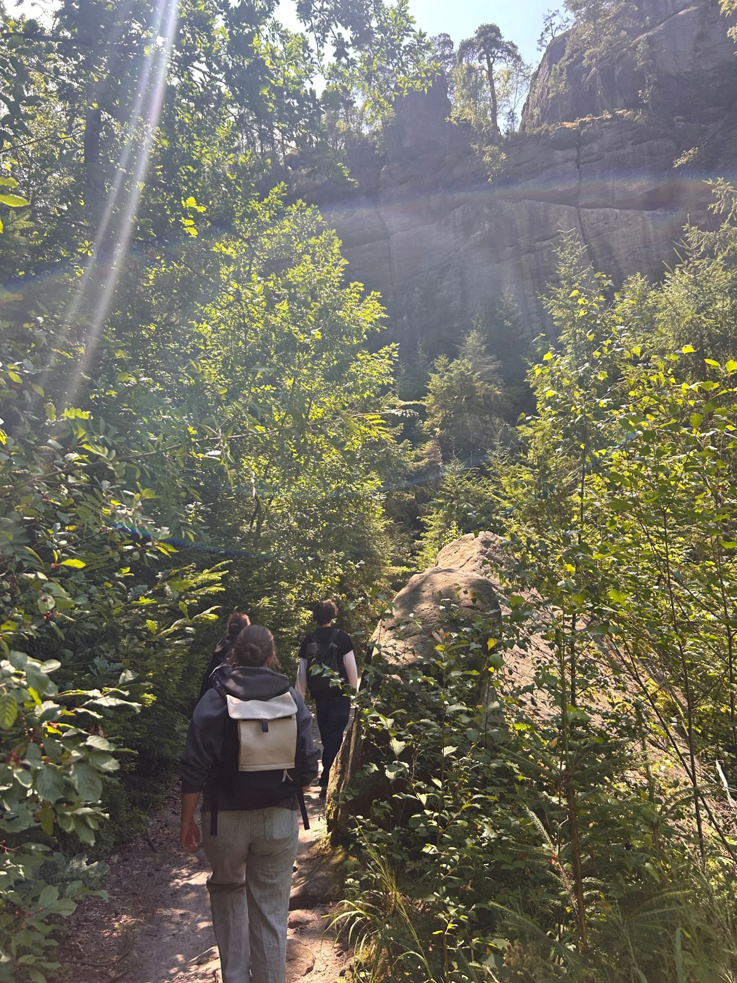 Wandern3