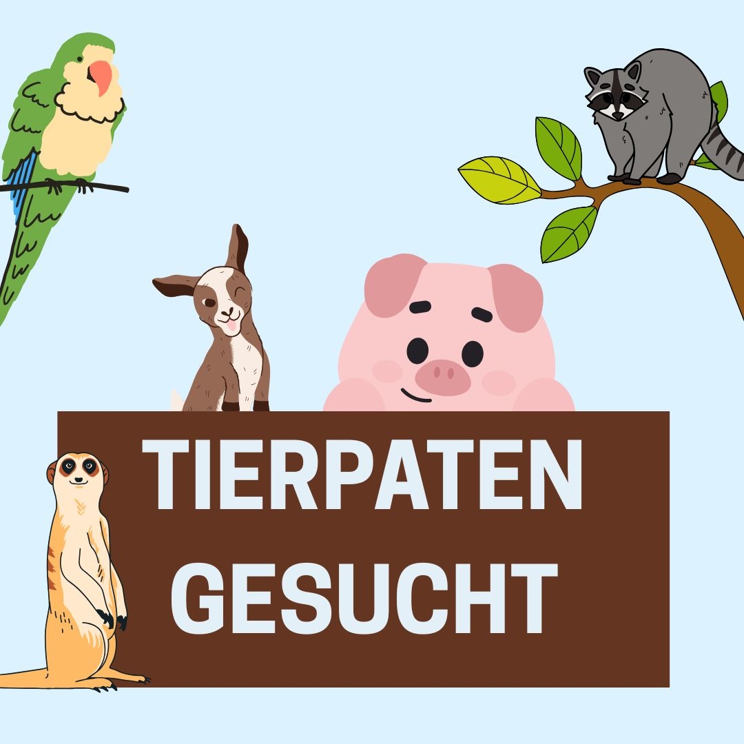 Tierpaten