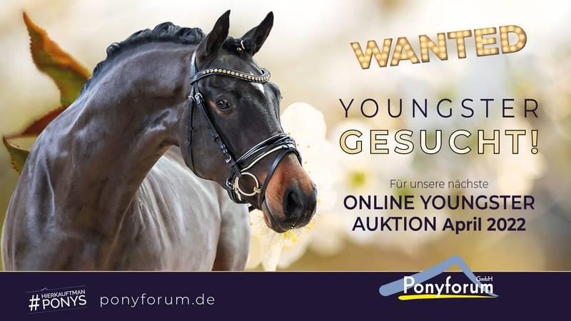 Plakat Youngster Gesucht!