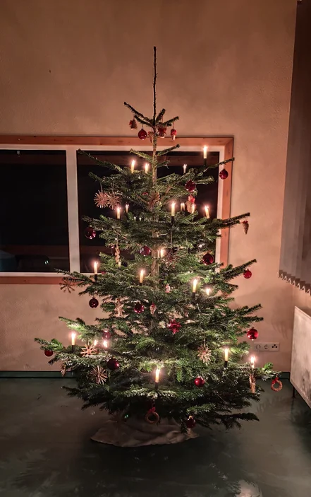 Weihnachtsbaum 2025