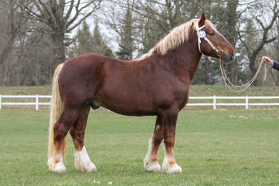 Norbert 27.05.2019 Fuchs