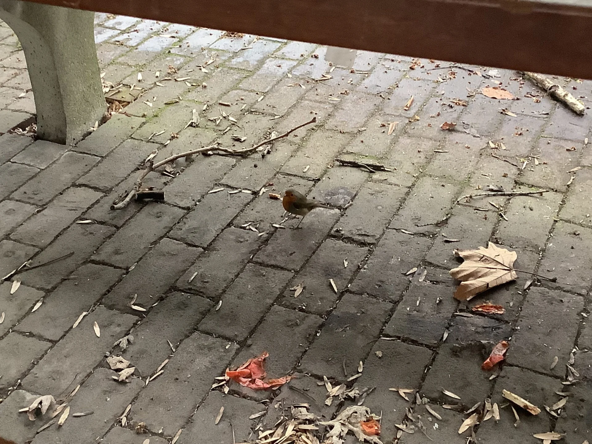 Naturerlebnisspiele in der Gruga
