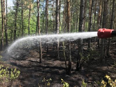 Unser Bild zeigt einen Wasserstrahl und einen Teil der Waldbrandfläche.