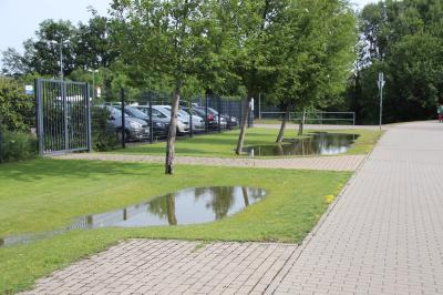 Unser Bild zeigt die betroffenen Bäume am Sportpark Rosenstraße nach den starken Regenfällen.
