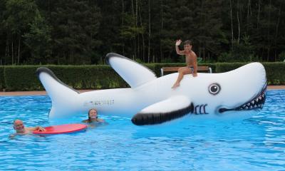 Foto zur Meldung: Schwimmen mit dem weißen Hai