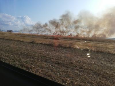 Foto zur Meldung: Feld brennt