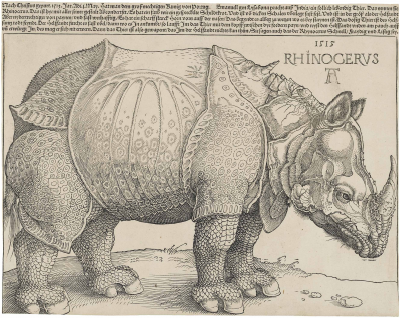 Das Original: Dürers Rhinozeros von 1515