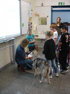 Foto zur Meldung: Hundeabenteuer - Kinderbuchautorin mit Husky zu Besuch in der GS Jünkerath