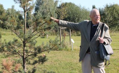 Foto zur Meldung: Ein Baum soll an verstorbenen Professor erinnern