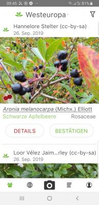 Artenkenntnis Pflanzen: Pl@ntNet app