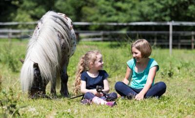 Vorschaubild zur Meldung: „Pferde für unsere Kinder e.V.“ -WEIHNACHTSAKTION: Kindern Zeit mit Pferden schenken!